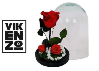 Flores Preservadas: El Regalo Perfecto Para El Día De La Madre Por Vikenzo Nature