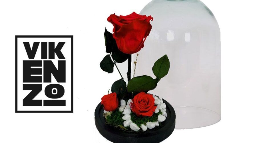 Flores Preservadas: El Regalo Perfecto Para El Día De La Madre Por Vikenzo Nature