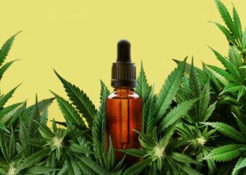 Cannabis Light Spain: Liderando El Mercado De Productos CBD De Bajo THC