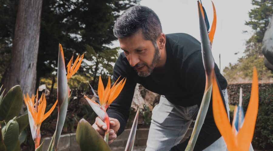 Lazza Capital Impulsa La Sostenibilidad: Más De 10.000 árboles Plantados Y Un Futuro Verde En El Horizonte
