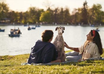 MSD Animal Health Celebra El Día De La Lucha Frente A La Leishmaniosis A Través De La Concienciación