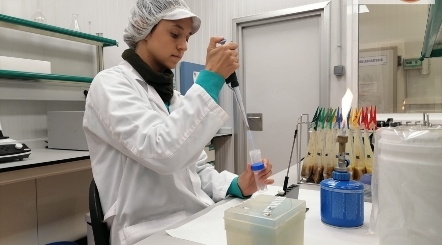 Colaborar E Innovar, Ingredientes Para La Receta Del éxito De Emcesa