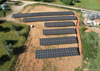 Ibéricos Japasur Apuesta Por El Autoconsumo Y Confía A Greenvolt Next La Instalación Fotovoltaica De Su Planta De Badajoz