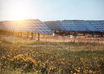 POWEN Explica Cuál Es La Potencia Adecuada En Los Paneles Solares Del Hogar
