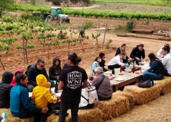 La Primavera Del Cava En Las Viñas De Canals & Munné