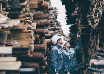 Fundación COPADE Reivindica La Importancia De Consumir Madera Certificada Para Erradicar La Deforestación Y La Tala Ilegal