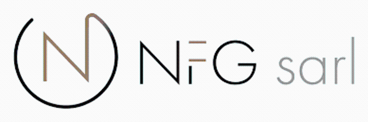 NFG Anuncia Que Su Filial NFG Partners SA Ha Obtenido Con éxito Su Licencia FINMA