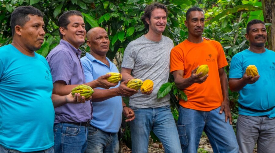 Paccari Contribuye A Postular Ecuador Y Su Industria Chocolatera Como Una De Las Mejores Del Mundo
