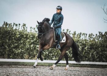 Cal Rei, Especializada En La Confección De Mantillas Para Caballos Con Tejido Técnico, Estrena Nueva Página Web