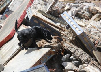 Método Arcón: El Medio Más Eficaz Que Existe En Búsqueda Y Detección Para Salvamento