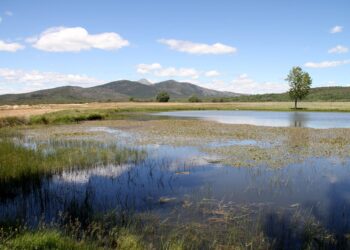 La Junta De Comunidades Asigna A ADEL Los Fondos Con Los Que Gestionará El Periodo 2023-2027