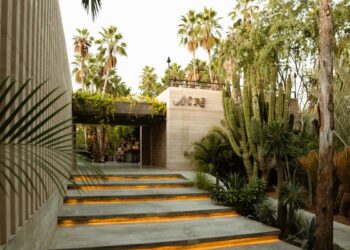 Los Cabos Propone Conocer Su Gastronomía A Través De Estos Cinco Restaurantes