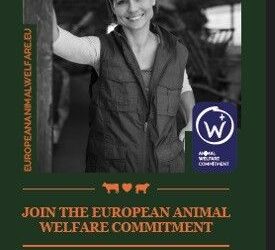 El II Simposio Internacional Sobre Bienestar Animal Europeo Se Celebra Mañana En Bruselas Con 600 Inscritos