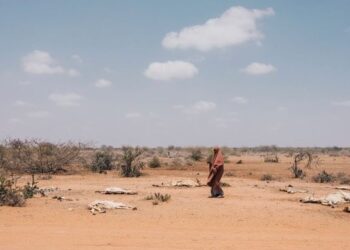 El Comité De Emergencia Se Activa Ante Una Crisis Del Hambre Sin Precedentes