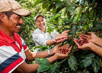 Oikocredit Apuesta Por La Capacitación Para Asegurar El Futuro Del Sector Cafetero