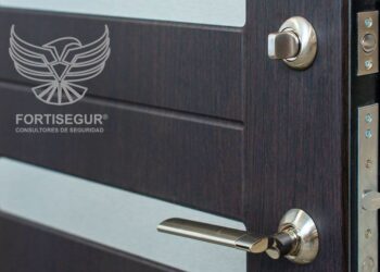 Seguridad A Prueba De Robos: Las Ventajas De Las Puertas Acorazadas, Por FORTISEGUR