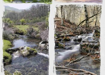 Adel Sierra Norte Pone En Valor Los Recursos Naturales De La Región Con Una Exposición