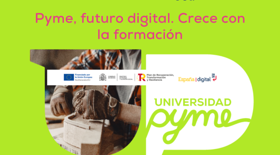 Universidad Pyme, El Gran Punto De Encuentro De La Formación Digital Para Pymes Y Autónomos