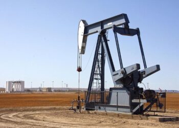 Bolivia Invierte En Petróleos De Venezuela Para Proyectos De Explotación De Hidrocarburos
