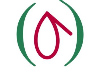 Madrid Ya Tiene Su Propia DO De Aceite: ‘Aceite De Madrid’