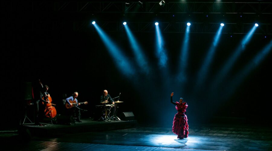 El Comité De Iniciativa ‘Andalucía: Historia Y Civilización’ Concluye Con éxito La ‘Noche Flamenca’