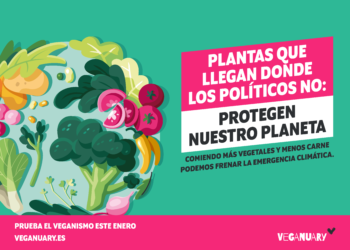 Veganuary: Una Década Acompañando A Quienes Quieren Probar El Veganismo Durante El Mes De Enero