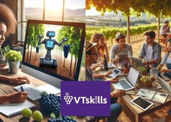 Univ. Sevilla Y 13 Socios Lanzan ‘VTSkills’ Para Sostenibilidad En Viticultura Mediterránea