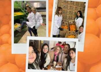 Naranjas La Torre: Sabor A Valencia Directo Al Hogar