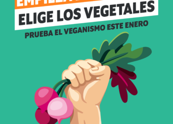 Comenzó Enero Vegano: Campaña Invita A Las Personas De México A Probar La Alimentación Basada En Plantas