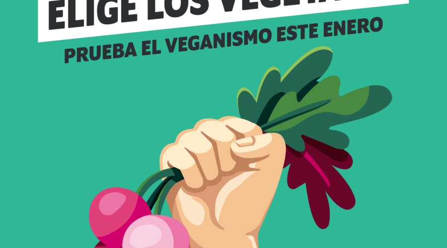 Comenzó Enero Vegano: Campaña Invita A Las Personas De México A Probar La Alimentación Basada En Plantas