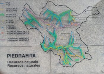 La Xunta De Galicia Declara Iniciativa Empresarial Prioritaria Al Proyecto De Gestión Forestal Sostenible De Talentya Digital Global Solutions En Pedrafita Do Cebreiro, Lugo