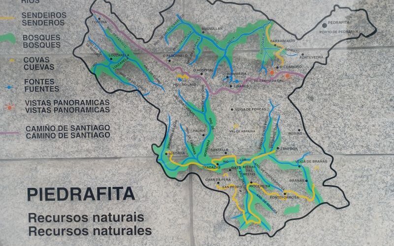 La Xunta De Galicia Declara Iniciativa Empresarial Prioritaria Al Proyecto De Gestión Forestal Sostenible De Talentya Digital Global Solutions En Pedrafita Do Cebreiro, Lugo