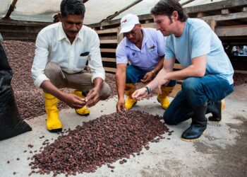PACCARI Deslumbra En FITUR 2024 Con Sus Chocolates De Origen Ecuatoriano