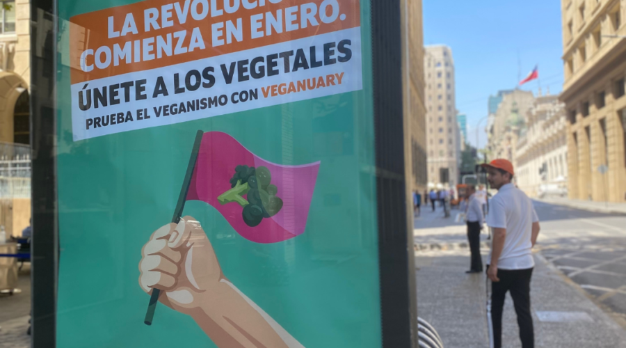Campaña Enero Vegano Se Consolida En México Con Exitosos Resultados