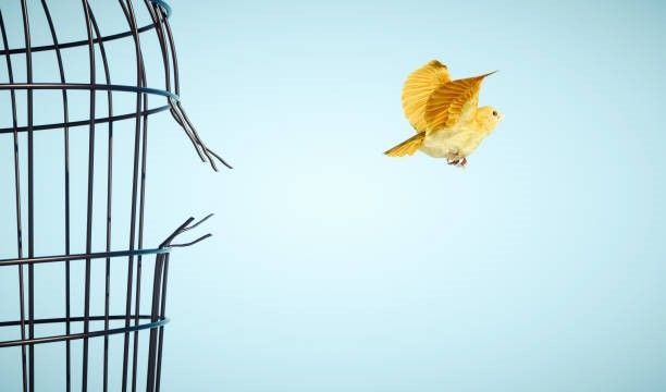 Opiniones Sobre Repara Tu Deuda: «cuando Pensé Que No Había Salida Para Mis Deudas Abrumadoras, Me Ofreció Una Luz Al Final Del Túnel»