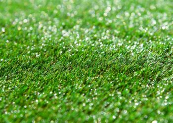 Decorar Con Césped Artificial: Frescura, Estilo Y Comodidad Todo El Año