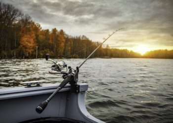 La Vaguada Fishing: Pesca, Alojamiento Y Gastronomía En El Corazón De Extremadura
